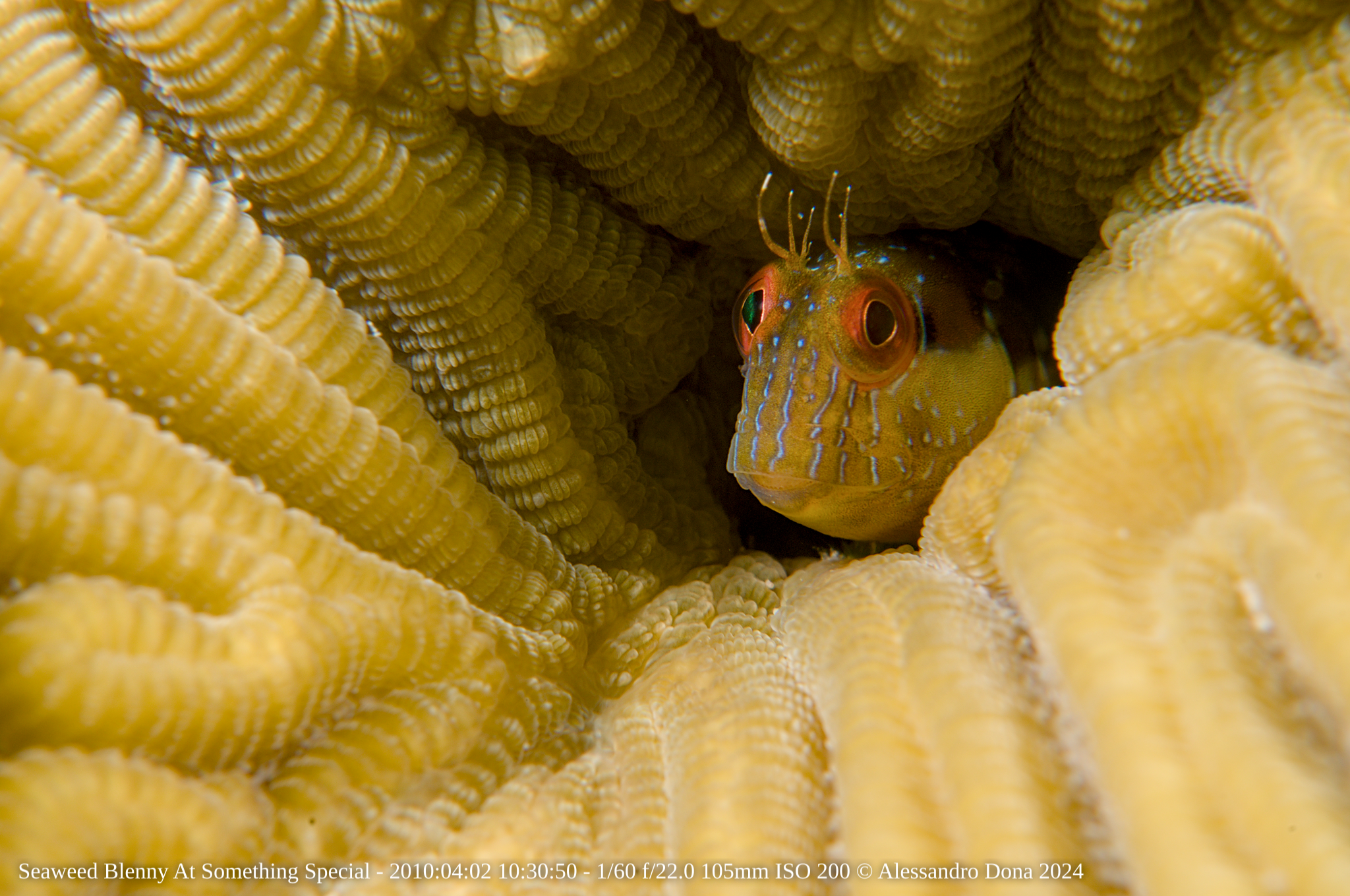 Diving in Bonaire in 2010